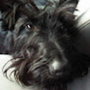 Meet your Posher, Kathleen